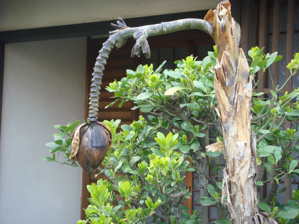 DSC06118.JPG