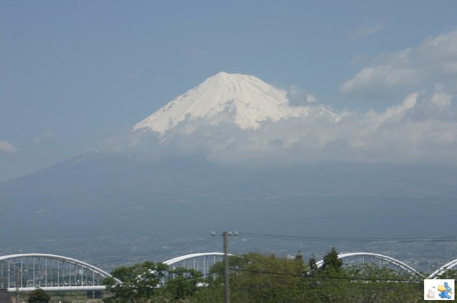 IMG_4052-0.JPG