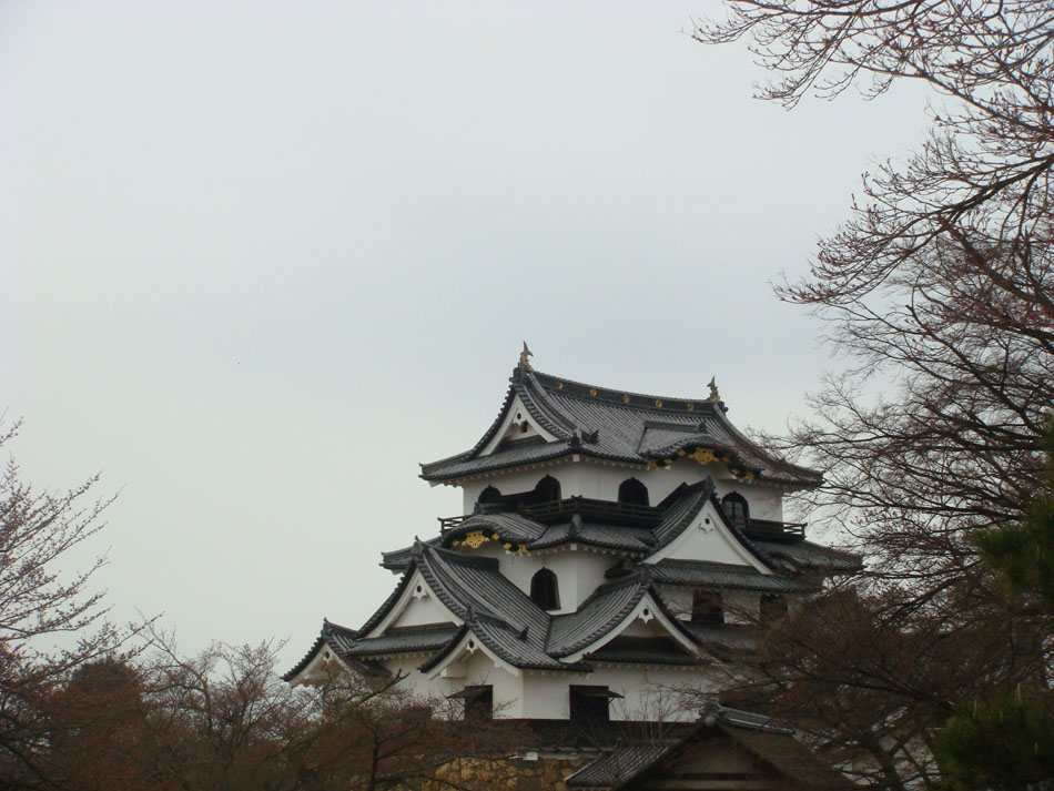 DSC06273.JPG