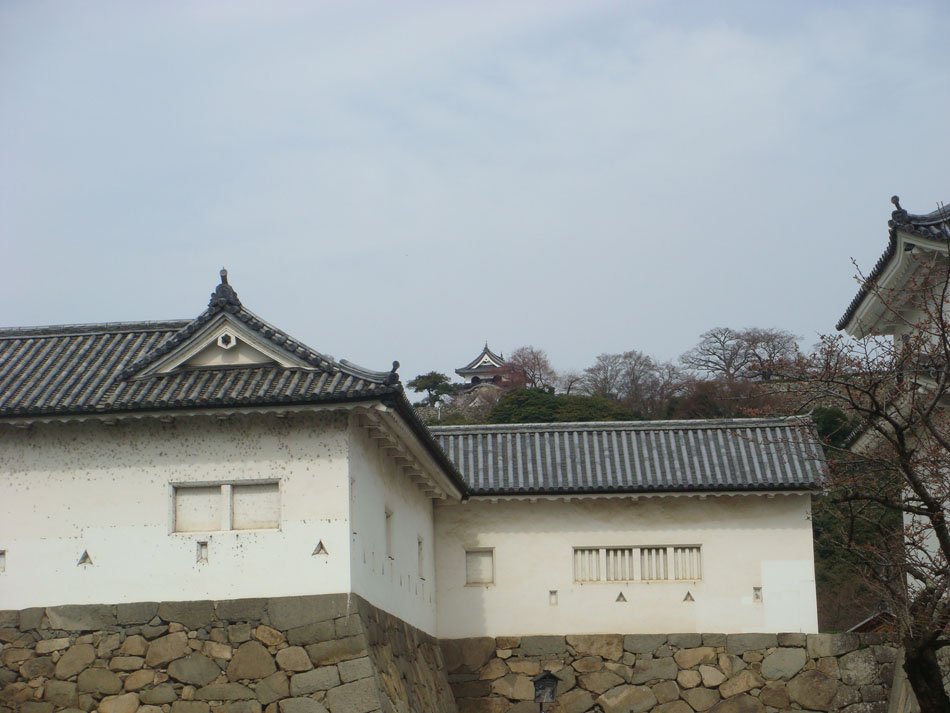 DSC06187.JPG