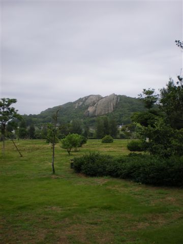 IMGP0674.jpg