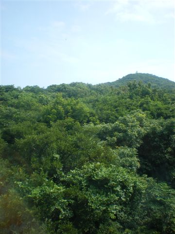 IMGP0645.jpg