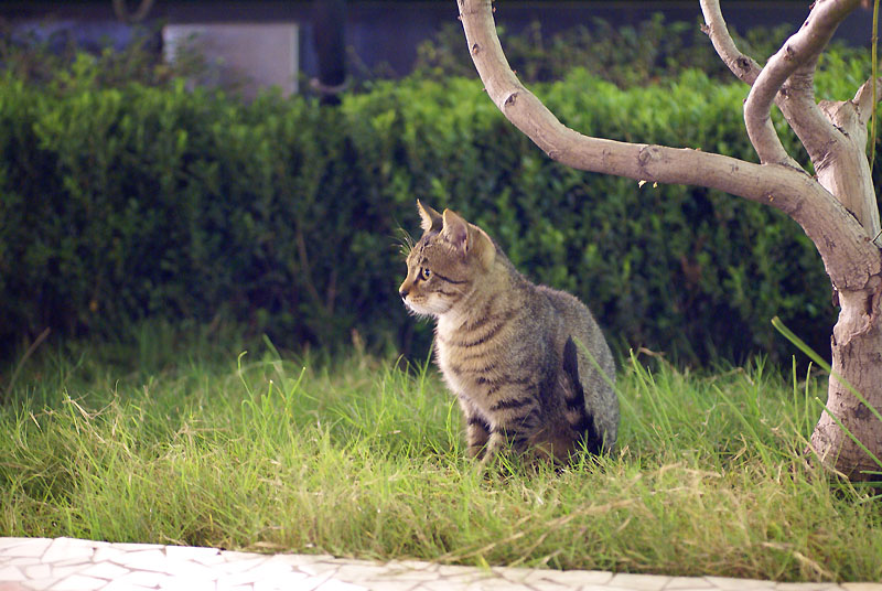 DSC00077.jpg